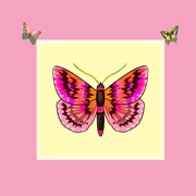 Butterfly Stickers A Beauty Of Nature