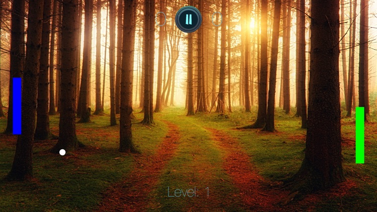 Paddle Pong Extreme Space