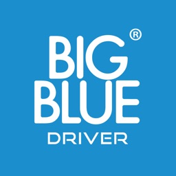 Big Blue Partner