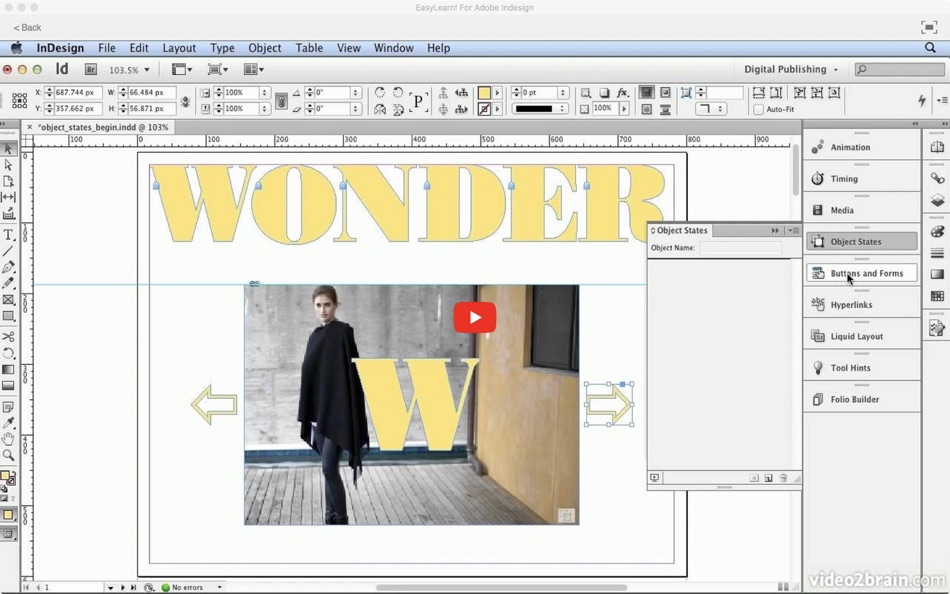 #4. EasyLearn! For Adobe Indesign (macOS) 由: ANTHONY PETER WALSH
