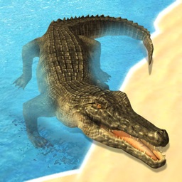 Amazing Furious Crocodile