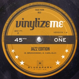 VinylizeMe