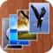 iWallpapers HD Lite lets you enhance your device with cool and amazing wallpapers