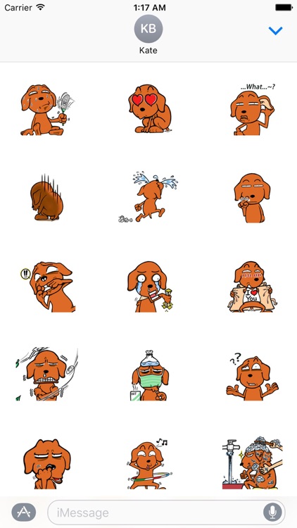 A Funny Labrador Retriever Dog