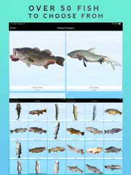 Fishing Booth ipad bilder 3