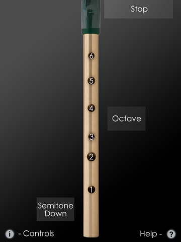 Tin Whistle - Key of High D screenshot 2