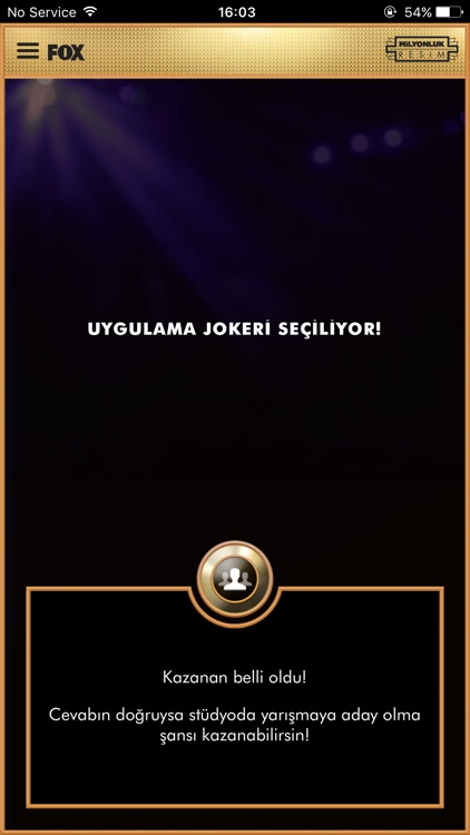 Milyonluk Resim screenshot-4