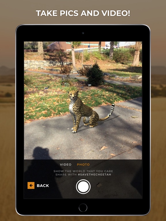 Virtual Cheetah iPad screenshot 4 - Education app