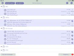 Flight Document System iPad image 2