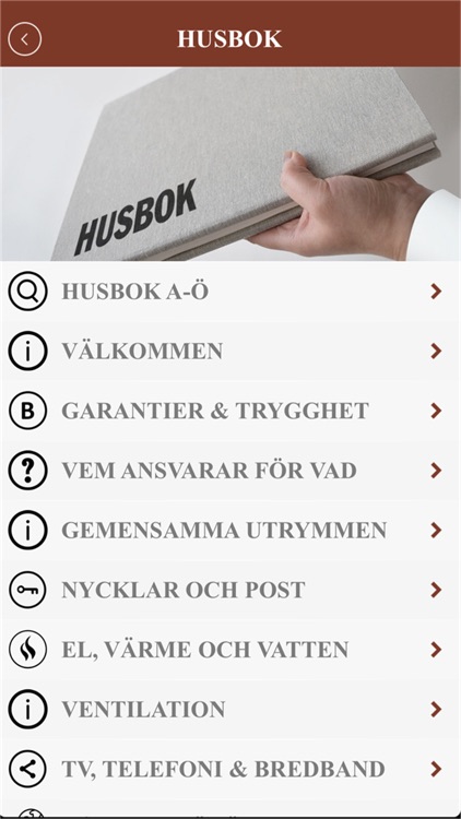 Brf Gripen 2 screenshot-3