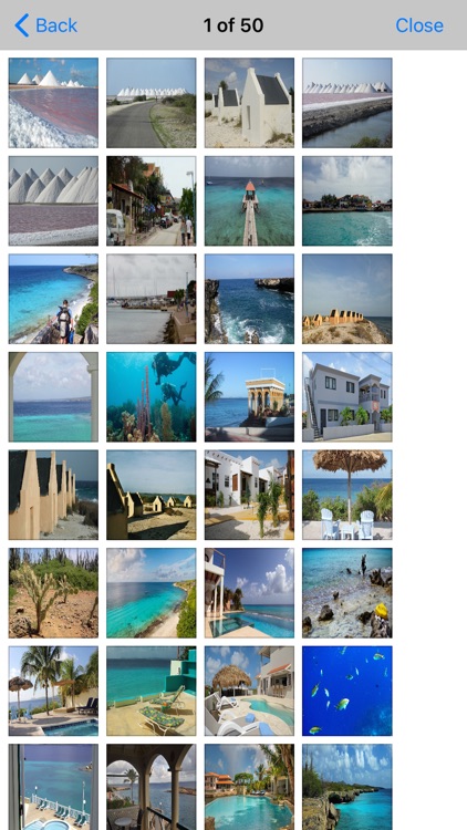 Bonaire Island Travel Guide screenshot-5