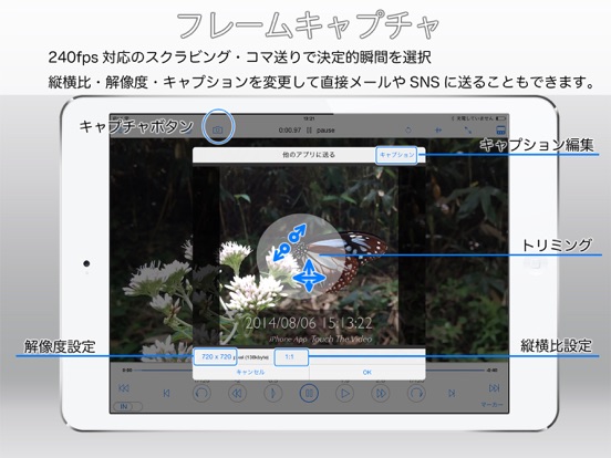 TouchTheVideo ビデオプレーヤーのおすすめ画像5