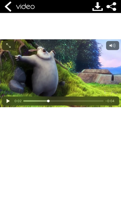 Reverse Video