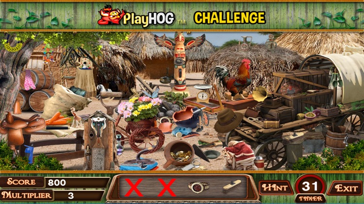 Village Life Hidden Objects