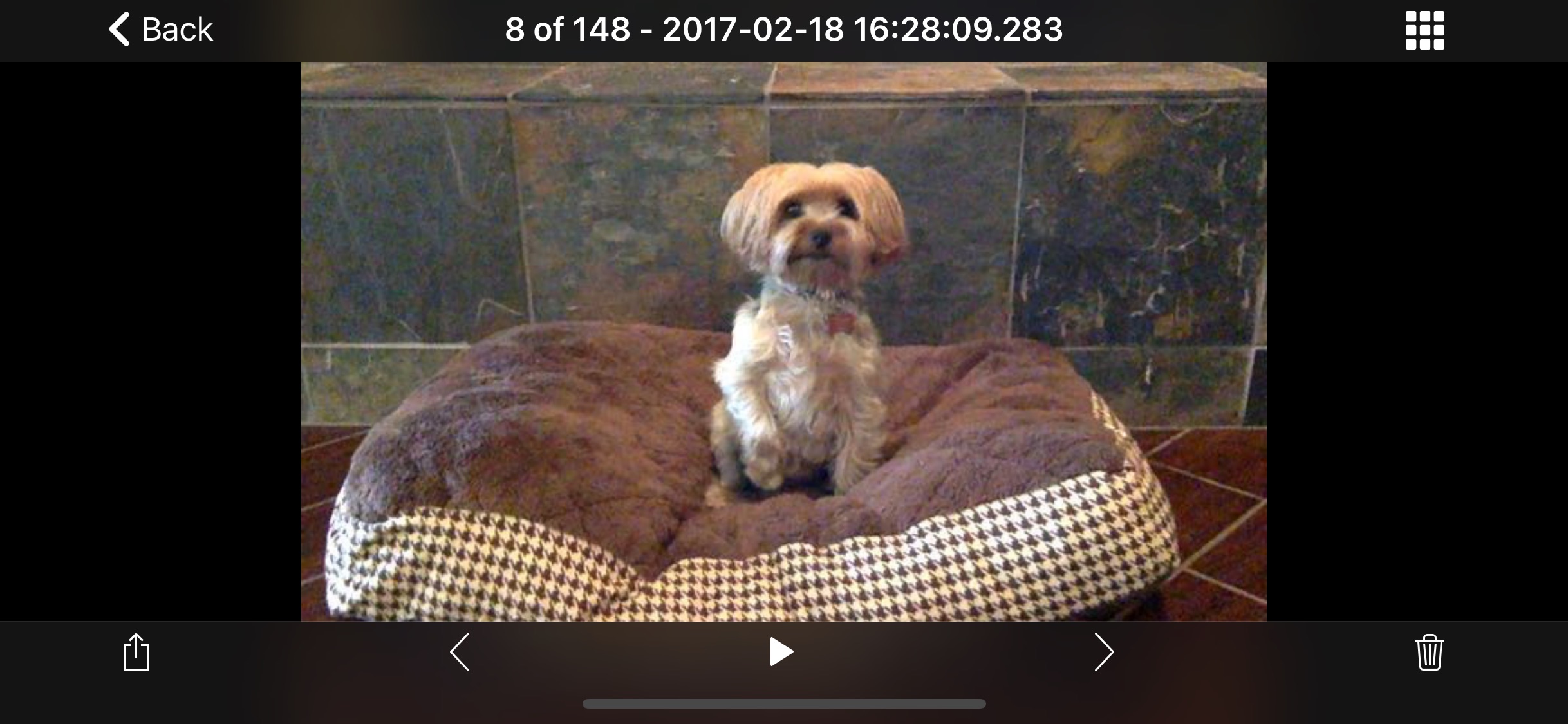 Screenshot do app iCam - Webcam Video Streaming