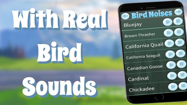Bird Noises