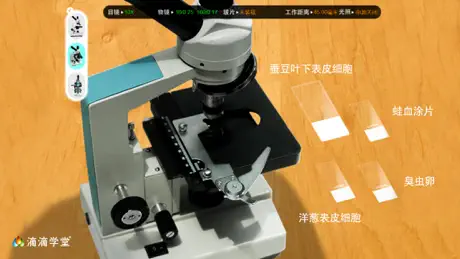 科学小助手