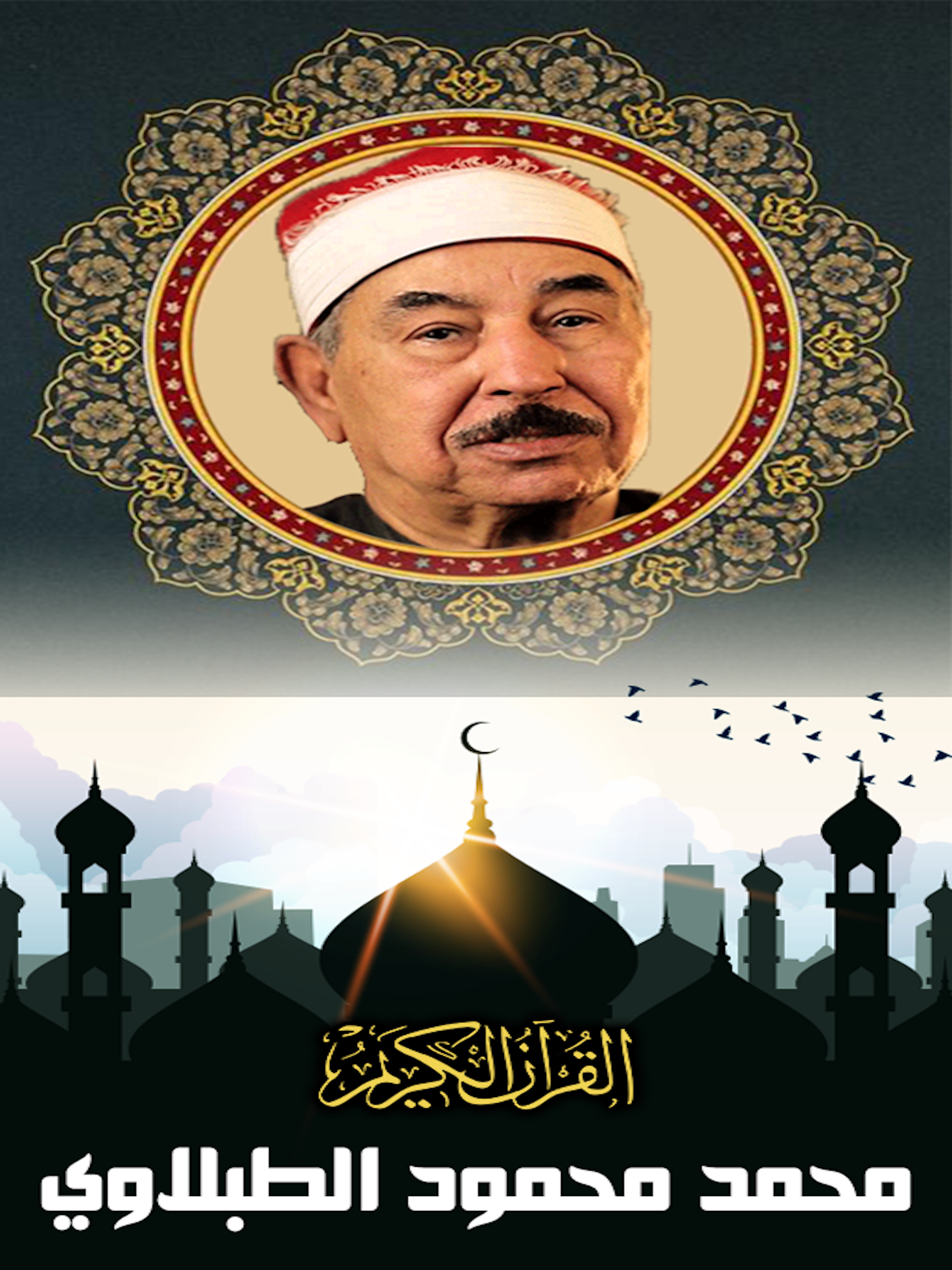 محمد محمود الطبلاوي