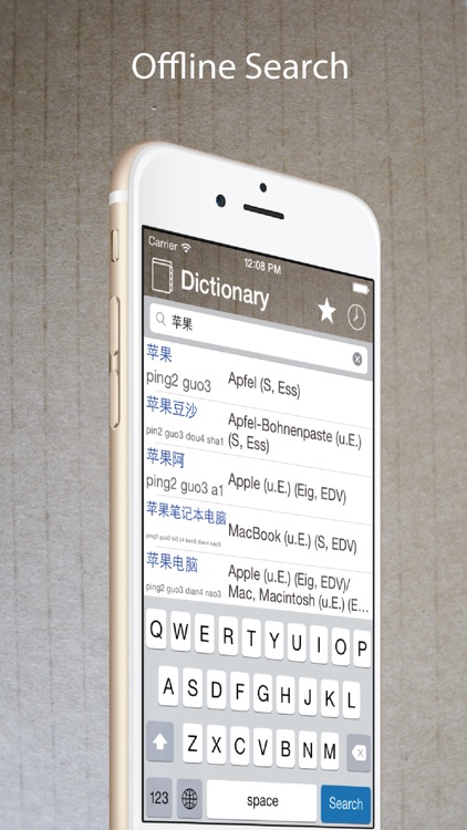 Chinese German Dictionary 中德字典 screenshot-4