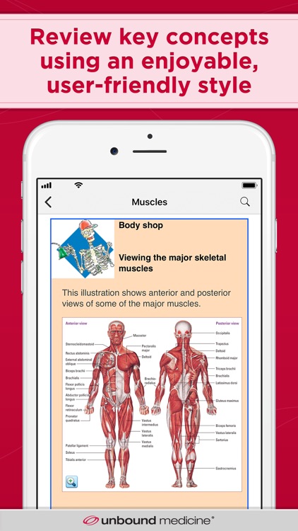 Anatomy & Physiology Made Easy
