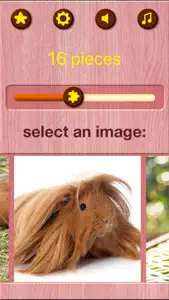 Guinea Pig Jigsaw Puzzle Games screenshot #3 for iPhone