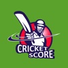 Cricket Score App