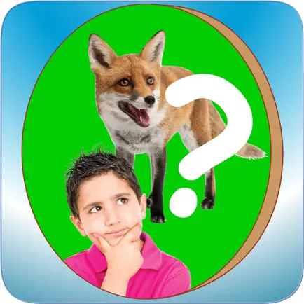 Dovddatgo? Читы