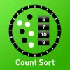 Count Sort problems & troubleshooting and solutions