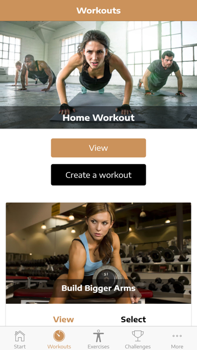 Huge Arms Workout Guide screenshot
