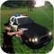 Icon Police Criminal Mission