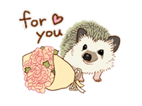 Shy And Cute Hedgehogs Sticker