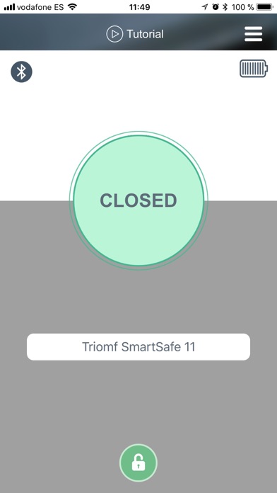 Triomf Smart Safe screenshot 2