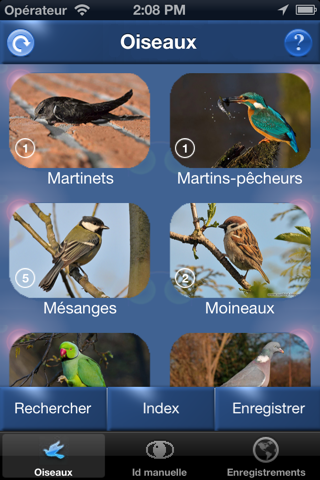 Chants d’oiseaux automatique screenshot 3