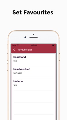 English - Hebrew Translator screenshot 4