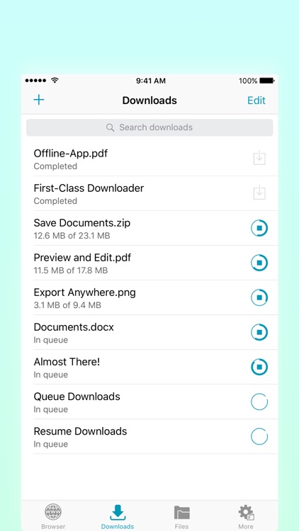 Offline Files & Web Browser