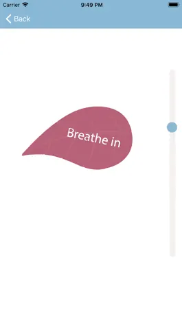 Game screenshot Breathing Exercises hack