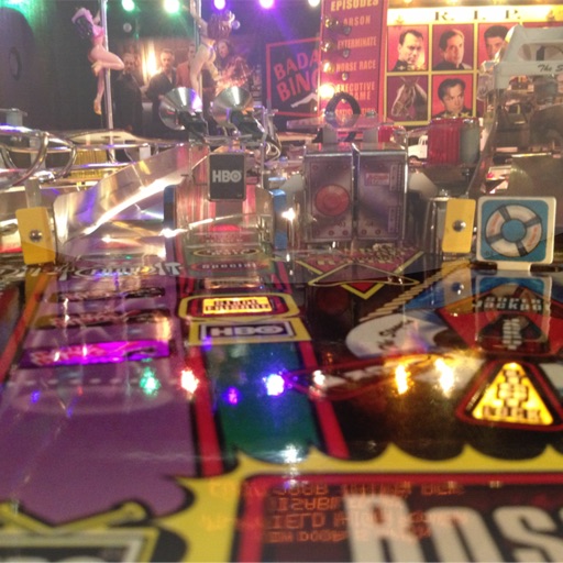 Nederlandse Flippervereniging