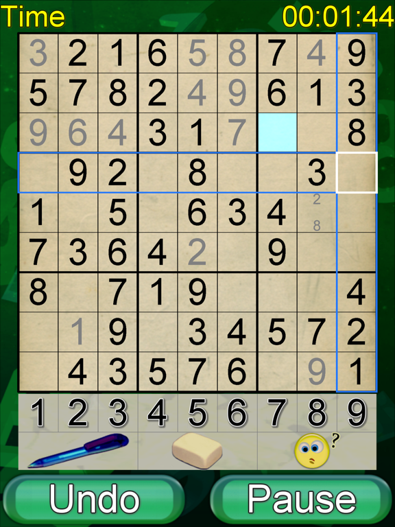 Sudoku Amazing Puzzle