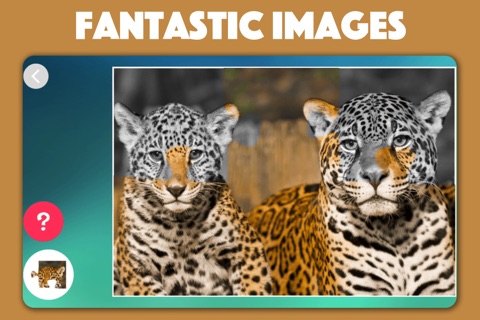 African Animal Jigsaw Puzzles for kids & toddlers screenshot 4