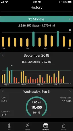 Stepwise Pedometer screenshot 3