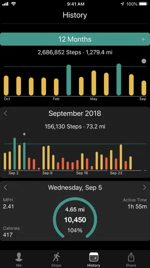 Stepwise Pedometer screenshot 3