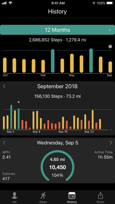 Stepwise Pedometer screenshot 3