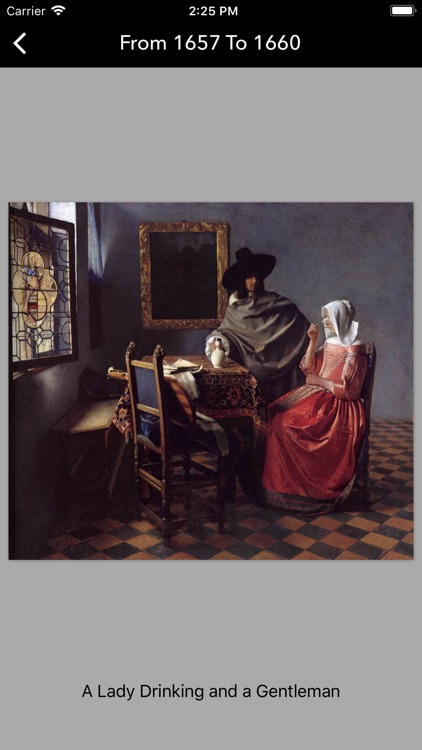 Johannes Vermeer's Art