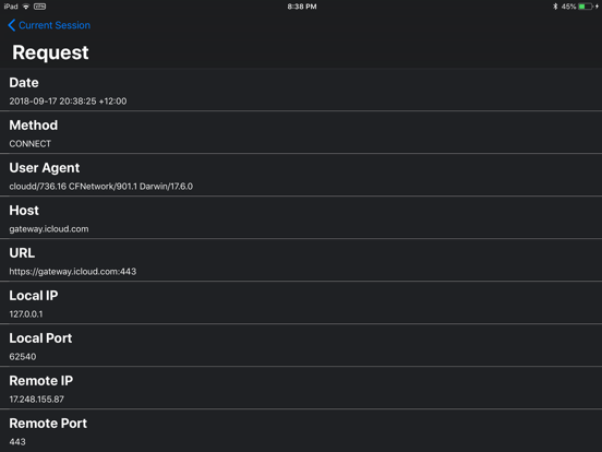 Screenshot #4 for iSniffer