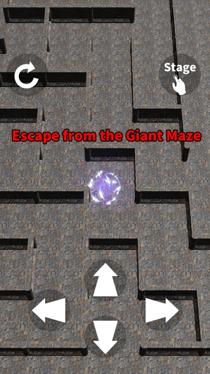 Giant Maze 100 Levels