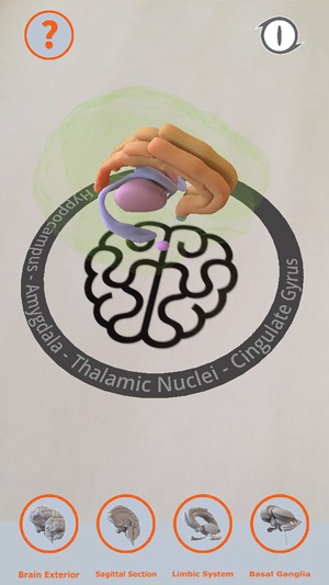 Cortical Brain(圖3)-速報App