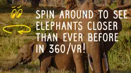 Game screenshot Virry game: Learn wild animals apk