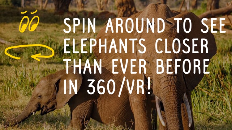 Virry game: Learn wild animals