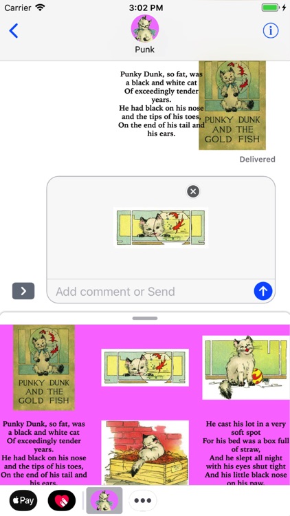 Kitty Punky Dunk