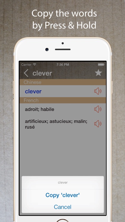 French English Dictionary Pro+ screenshot-3
